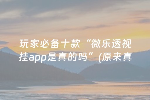 玩家必备十款“微乐透视挂app是真的吗”(原来真的有挂)-抖音
