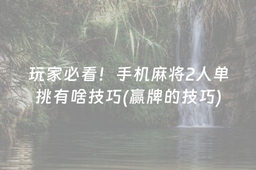 玩家必看！手机麻将2人单挑有啥技巧(赢牌的技巧)