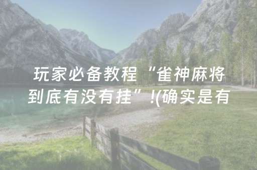 玩家必备教程“雀神麻将到底有没有挂”!(确实是有挂)-抖音