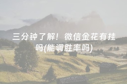 胜率设置方法“手机跑得快黑科技软件（专用辅牌神器免安装）