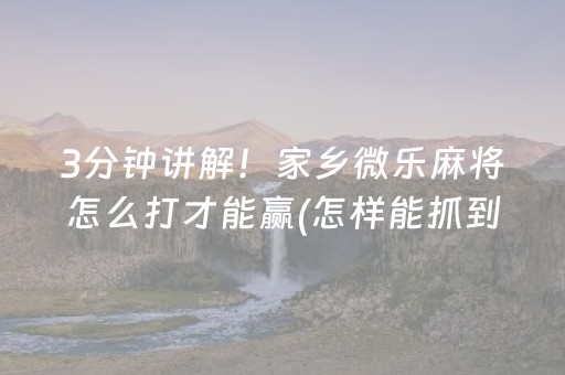 玩家必备教程“手机微乐麻将专用程序器（专用辅牌神器免安装）