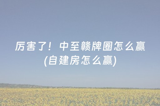 玩家必备教程“密码麻将牌哪里可以买（助赢神器通用版）