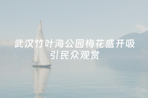 今日盘点“微信斗牛怎么开挂”（详细辅助教程）-哔哩哔哩
