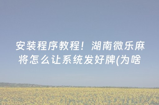 3分钟学会“检测麻将机程序的仪器（专用辅牌神器免安装）