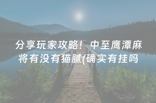 必看教程“麻将机解码器的使用方法（专用辅牌神器免安装）