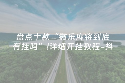 盘点十款“微乐麻将到底有挂吗”!详细开挂教程-抖音
