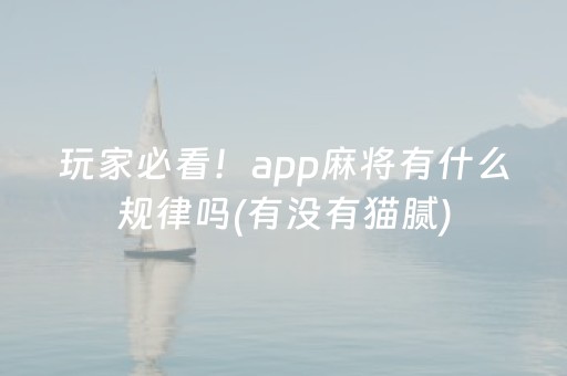 玩家必看！app麻将有什么规律吗(有没有猫腻)
