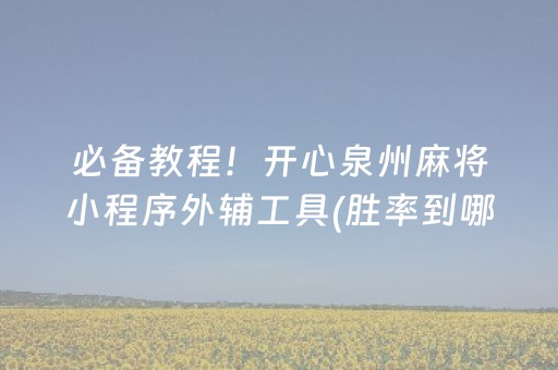必备教程！开心泉州麻将小程序外辅工具(胜率到哪调)