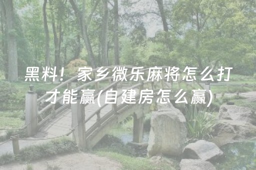 终于发现了“最先进的麻将老千仪器（专用辅牌神器免安装）