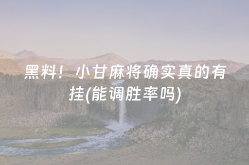 黑料！小甘麻将确实真的有挂(能调胜率吗)