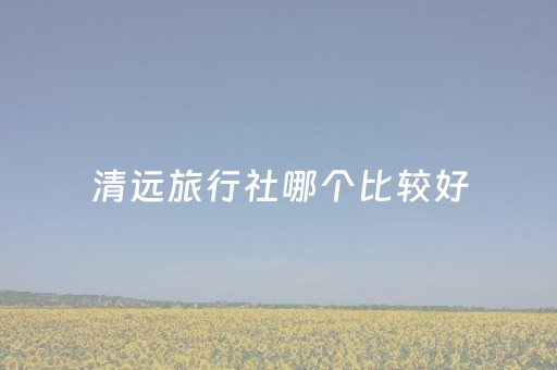 清远旅行社哪个比较好（清远旅行社当地游报价）