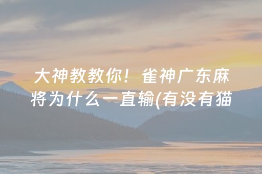 大神教教你！雀神广东麻将为什么一直输(有没有猫腻)