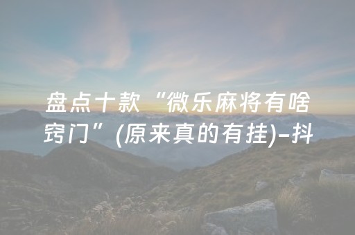 必看教程！“小程序广东雀神辅助器”（详细开挂教程）-哔哩哔哩