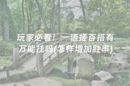 玩家必看！一道搓百搭有万能挂吗(怎样增加胜率)