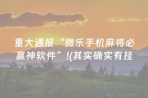 实测结果“程序麻将机软件”（详细透视教程）-哔哩哔哩