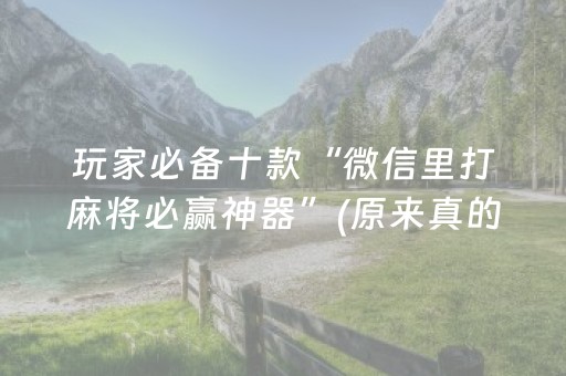 玩家必备十款“微信里打麻将必赢神器”(原来真的有挂)-抖音