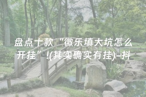 盘点十款“微乐填大坑怎么开挂”!(其实确实有挂)-抖音