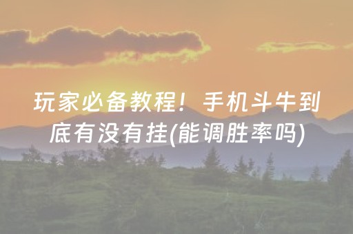 玩家必备教程！手机斗牛到底有没有挂(能调胜率吗)