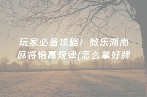玩家必备攻略！微乐湖南麻将输赢规律(怎么拿好牌)