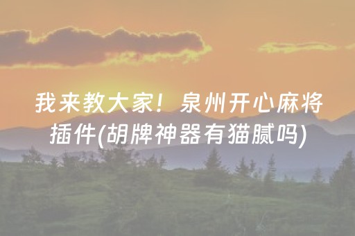 我来教大家！泉州开心麻将插件(胡牌神器有猫腻吗)