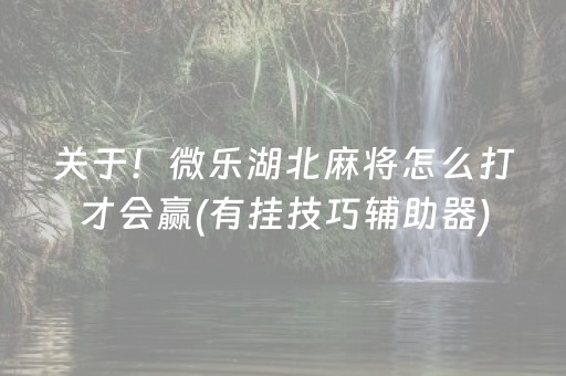 关于！微乐湖北麻将怎么打才会赢(有挂技巧辅助器)