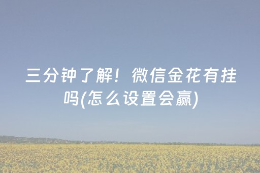 三分钟了解！微信金花有挂吗(怎么设置会赢)