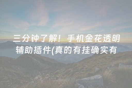 三分钟了解！手机金花透明辅助插件(真的有挂确实有挂)