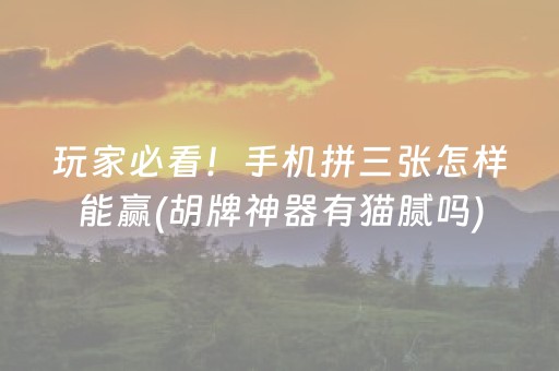 玩家必看！手机拼三张怎样能赢(胡牌神器有猫腻吗)