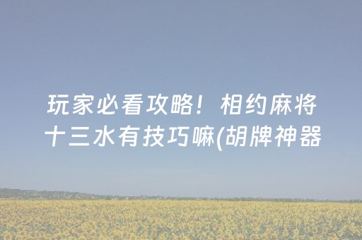 玩家必看攻略！相约麻将十三水有技巧嘛(胡牌神器有猫腻吗)