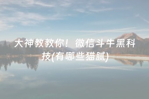 实测教程“17麻将众娱软件神器（助赢神器通用版）