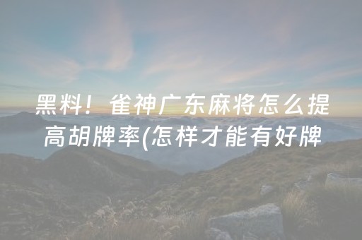 黑料！雀神广东麻将怎么提高胡牌率(怎样才能有好牌)