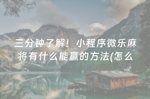 必看教程“微乐云南麻将挂件神器（专用辅牌神器免安装）