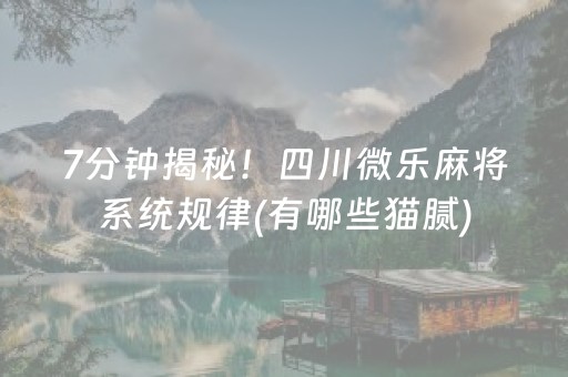 7分钟揭秘！四川微乐麻将系统规律(有哪些猫腻)