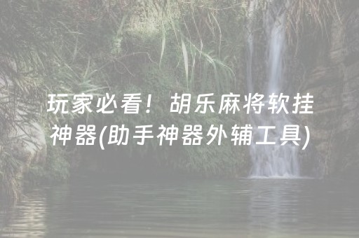 终于发现“雀神小程序app（专用辅牌神器免安装）