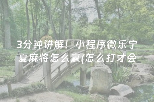 3分钟讲解！小程序微乐宁夏麻将怎么赢(怎么打才会赢)