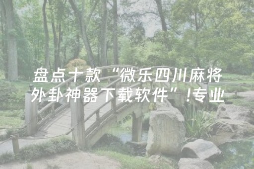 盘点十款“微乐四川麻将外卦神器下载软件”!专业师傅带你一起了解（详细教程）-抖音