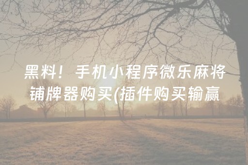 必看教程“微乐麻将100%能赢的神器（专用辅牌神器免安装）