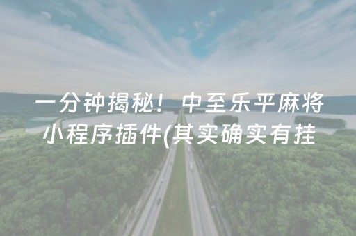 我来教大家“微乐开挂会被检测吗（专用辅牌神器免安装）