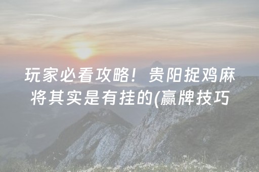 玩家必备教程“可调输赢麻将机（专用辅牌神器免安装）