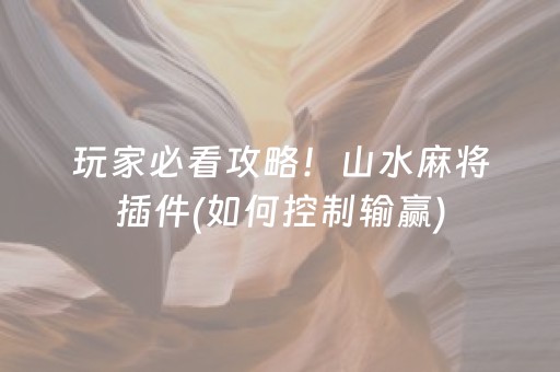 玩家必看攻略！山水麻将插件(如何控制输赢)
