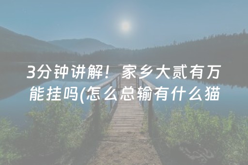 3分钟讲解！家乡大贰有万能挂吗(怎么总输有什么猫腻)