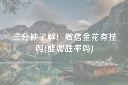 三分钟了解！微信金花有挂吗(能调胜率吗)