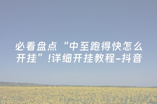 玩家必看攻略“广东雀神辅助器插件（专用辅牌神器免安装）