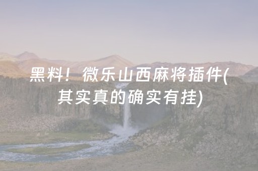 教程辅助“微乐怎样设置赢的概率（助赢神器通用版）