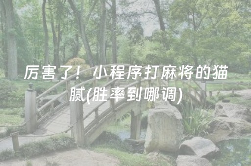 厉害了！小程序打麻将的猫腻(胜率到哪调)