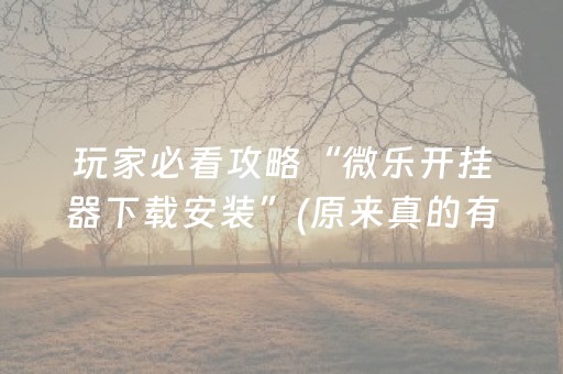 玩家必看攻略“微乐开挂器下载安装”(原来真的有挂)-抖音