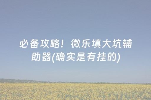 必备攻略！微乐填大坑辅助器(确实是有挂的)