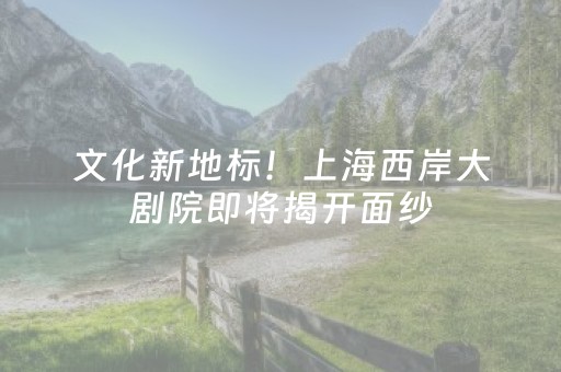 玩家必看攻略“微信麻将机手机控牌器（助赢神器通用版）