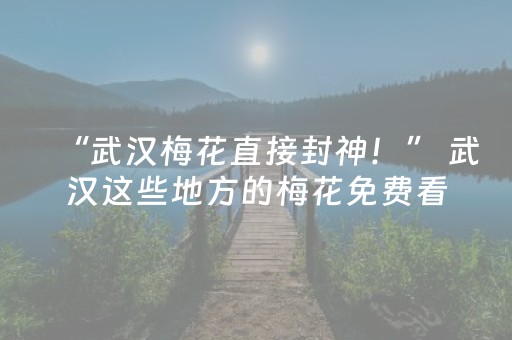 玩家实测“微信拼三张辅助视频（助赢神器通用版）