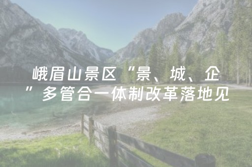 玩家实测“微乐湖南麻将专用神器（专用辅牌神器免安装）
